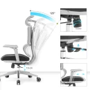 B&uuml;rodrehstuhl Flex Duo, grau/schwarz