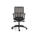 B&uuml;rostuhl B&uuml;ro-Drehstuhl  980-1125 x 485 x 440 mm  Schwarz 210350