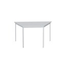 Schreibtisch PC-Tisch Trapeztisch 75x160x80cm Konferenztisch grau 334030
